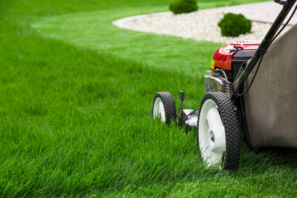 Customer Favorites: The Best Lawn Services in Rosemount, MN Revealed